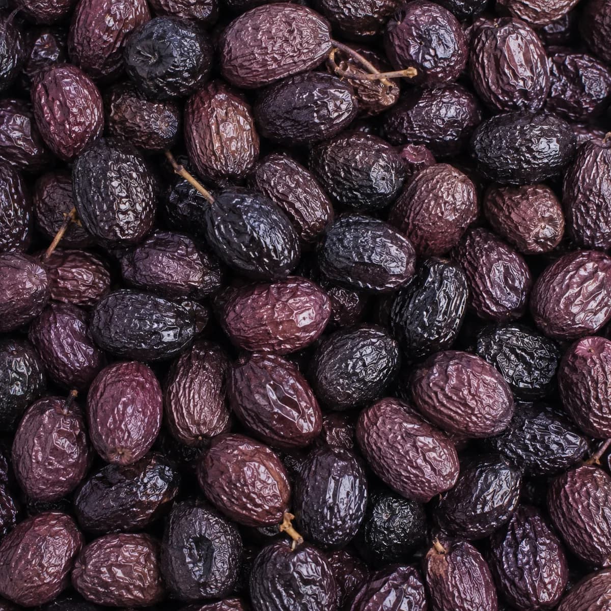 Olives de Nyons moyennes