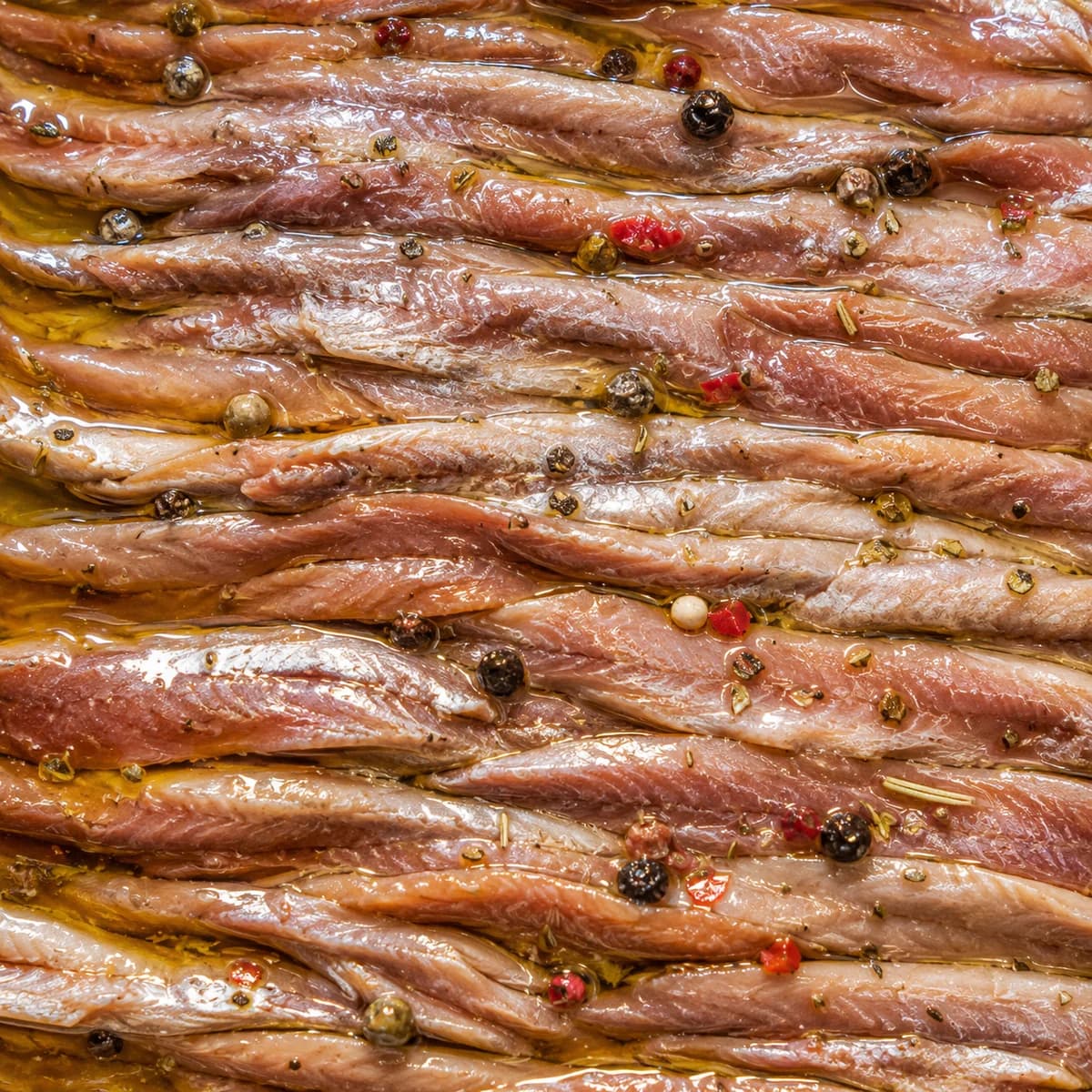 Filets d’anchois à l’huile de Collioure