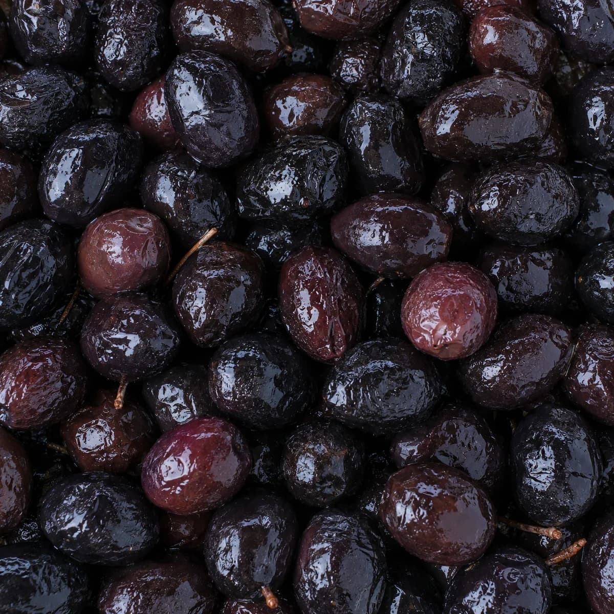 Grosses olives de Nyons